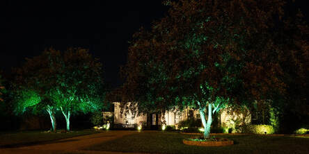 trees and home lit up at night